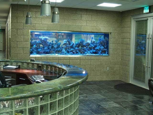 Stone Cold Masonry project